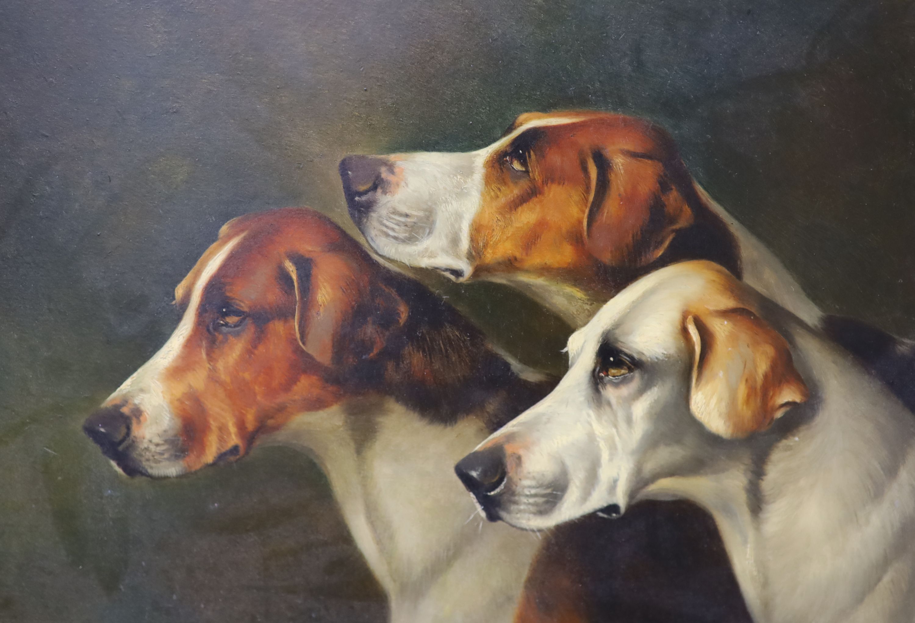 Attributed to Alfred Wheeler (1851-1932) oil on panel, Portrait of three hounds, 25 x 35cm